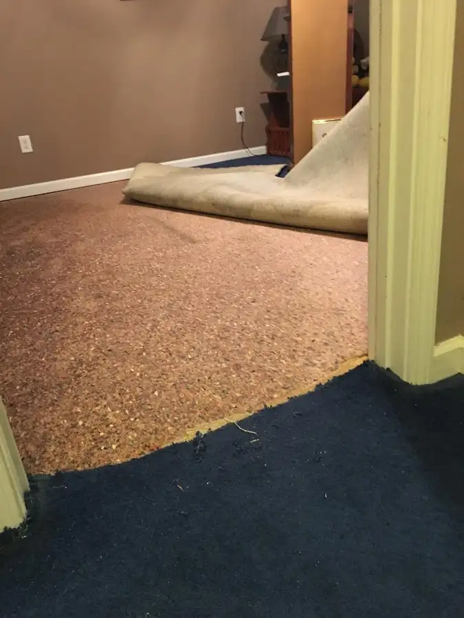 Carpet pad removal revealing water damage during Water Mitigation Services in Cypress Gardens
