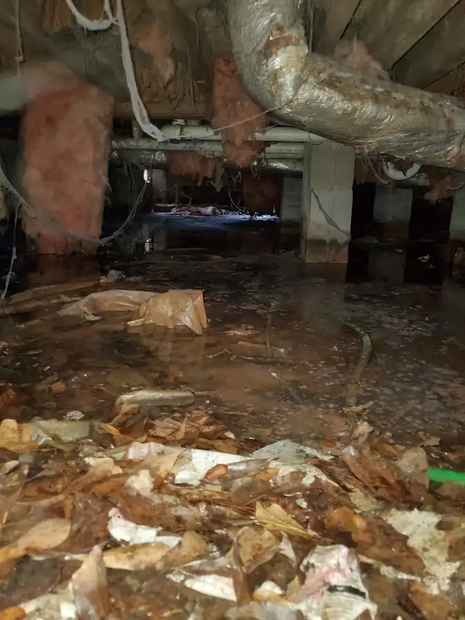 Crawl space flood assessment for Leak Detection & Repair in Cypress Gardens